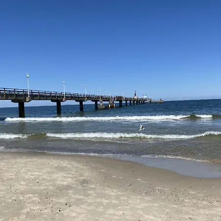 Marin, 02 דירה צינוביץ